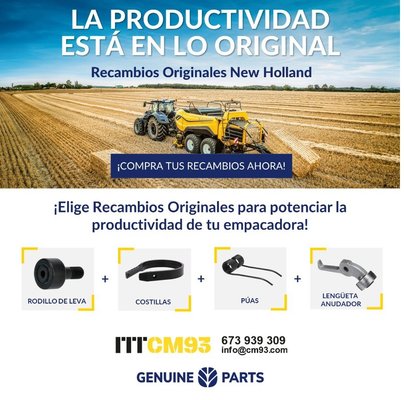 LA PRODUCTIVIDAD ESTÁ EN LO ORIGINAL