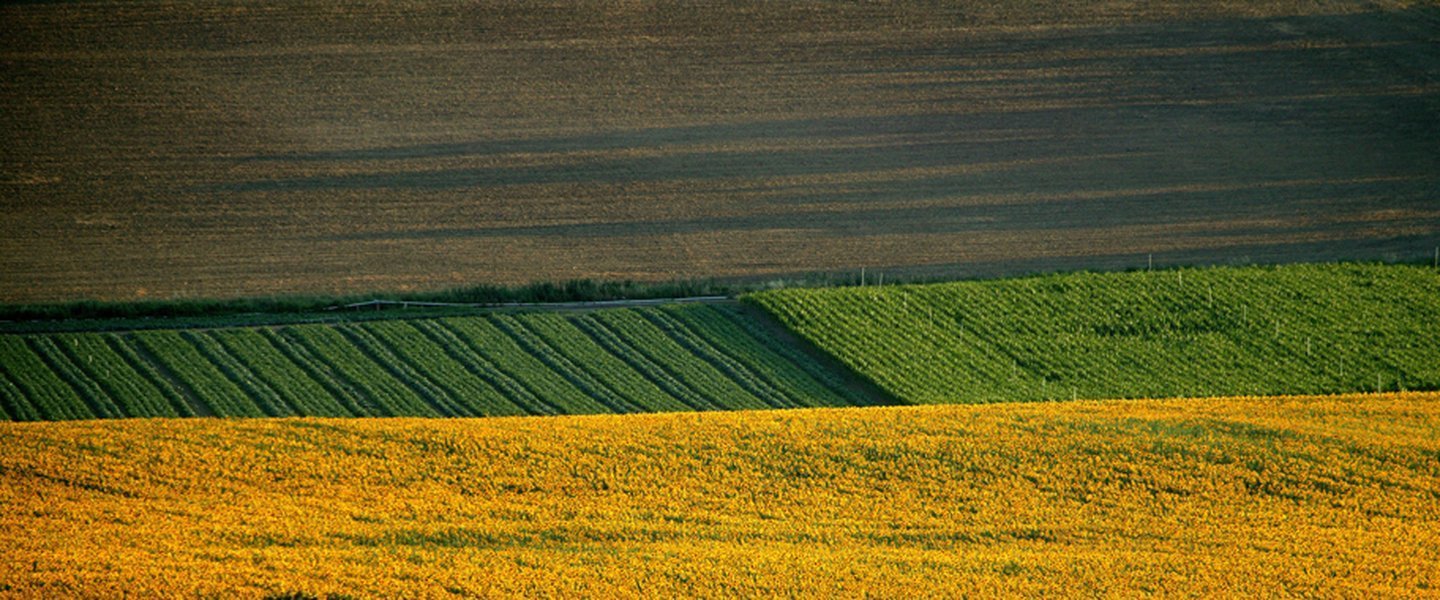 Machines Agricoles